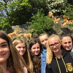 neve mitchell - @neviespams_ - Instagram