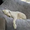 murray.neve - @murray.neve - TikTok
