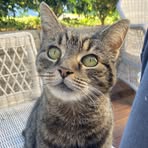 Neve Perry - Facebook