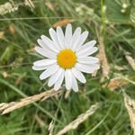 Neve ryan - @neveryan19 - Instagram