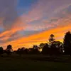Neve Sullivan - @neve.sullivan - TikTok