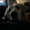 neve-wallace - @neve.x3 - TikTok