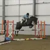 Neve White🇬🇧 - @equine.neve - TikTok