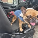 Neville Smith - Facebook