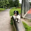 nevvy - @nevisthespringer - TikTok
