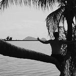Craig Neville Walker - @craig.walker.around.asia - Instagram