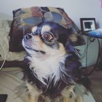 Nevin Clark - @clarknevin - Instagram
