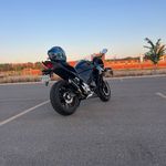 Nevin George - @mintynevdog - Instagram