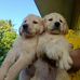 Nevin George - Facebook