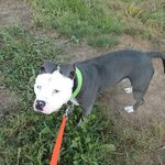 Nevin Miller - @nevin1980miller - Instagram