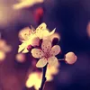 New hope - @newhope080 - TikTok