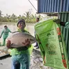 newhope - @nh.vn.chin2 - TikTok