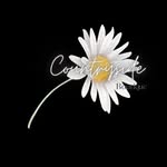 Jillian Nesheim - @countryside_boutique_newell_ia - Instagram