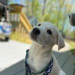Newt Brown - @newtonianadventures - Instagram