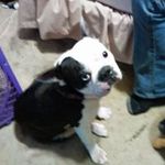 newton baker - @newton.baker - Instagram