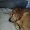 Connor Newton-Bell - @connor.newtonbell - TikTok