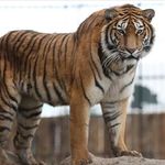NewtonChambers588 - @newtonchambers588 - Instagram