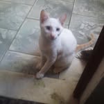 newtonclementinorayolfilho - @newtonclementinoray - Instagram