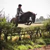 Georgie Newton - @gee.newton - TikTok