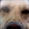 I play games - @newtonwardon - TikTok