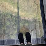 Laura Newton Ward - @fig1982 - Instagram