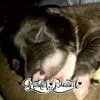 Neyda Morales Fret - @neyda.morales.fre - TikTok