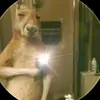 Neymar López - @neymarlopez504 - TikTok