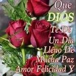 Neysa Flores - @neysa.flores - Instagram