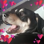 Nessa Davis-Harris - Facebook