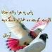 Aqal Nazar - Facebook