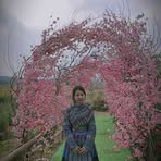 Nga Giang Thi - Facebook