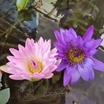 Ngai Mei Mui - @ngai.mui - Instagram