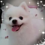 Ngai Mui - @ngai.mui.1 - Instagram