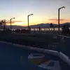 Ngai Mui - @30244675841 - TikTok