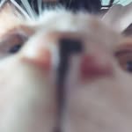 Ngân Đào - @nn_dfy - Instagram