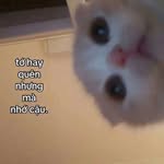 ngan ha - @awkany - Instagram