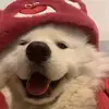 NganHa - @nganha6986 - TikTok