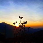 Ying Yin - @ngan.la - Instagram