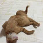 Ngan Lai - Facebook