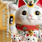 Suk Ngan Leung - Facebook