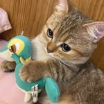 Ngân Quách - @qth_ngan - Instagram
