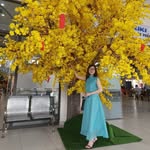 Ngân Quách - @ngan_quach - Instagram
