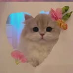 Ngan Vo - Facebook