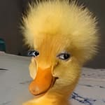 Ngân Võ - @vtngaan.64 - Instagram