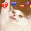 nganvu - @nganvu_12 - TikTok