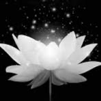 Nghe Pham - Facebook