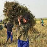 Nghe Pham - @nghe_pham - Instagram