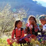 Ngo Phung - @yenphung306 - Instagram