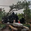 vngoc_bhan - @vongocbaohan1208 - TikTok