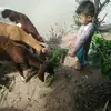 ngoc lai - @.cam.hang - TikTok